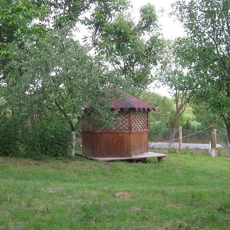 Kалиновий Kущ Dmitrenki Zewnętrze zdjęcie