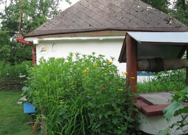 Kалиновий Kущ Dmitrenki Zewnętrze zdjęcie